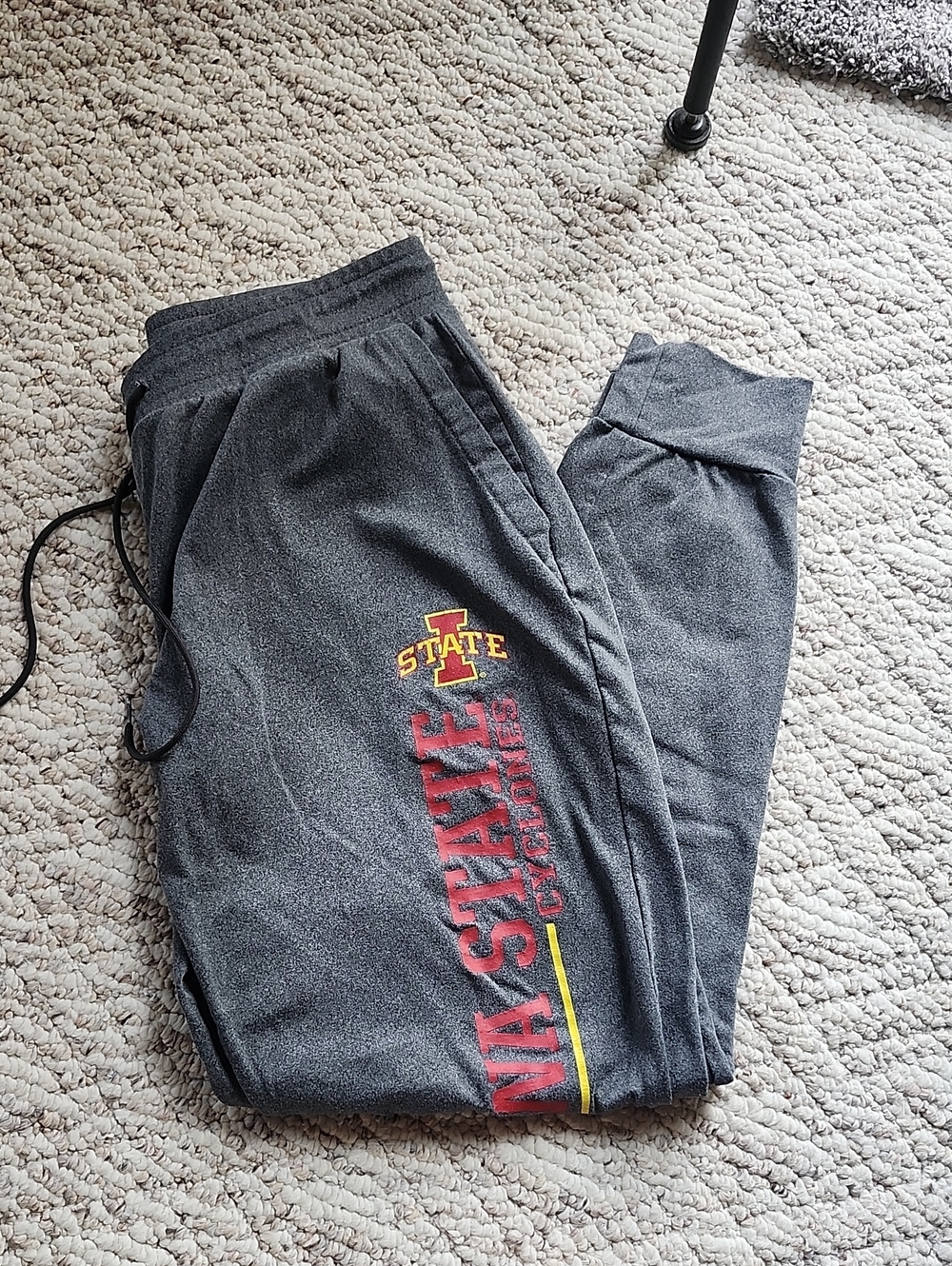 Iowa State Pants